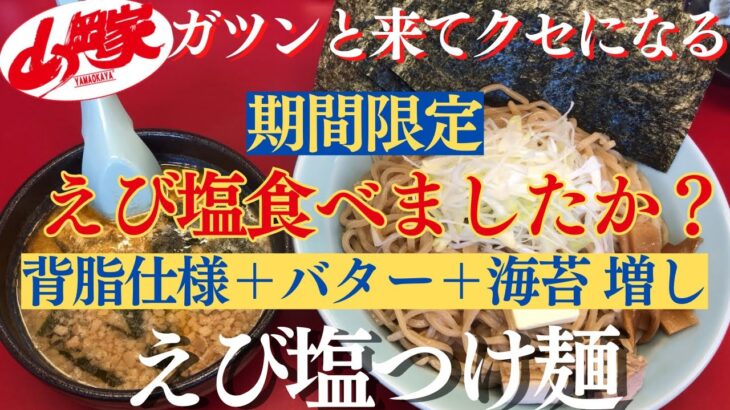 【ラーメン山岡家】期間限定、えび塩つけ麺を背脂仕様でバターと海苔増しで堪能✨【岐阜 ラーメン】