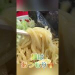 【ラーメン山岡家】醤油ベースのつけ汁に背脂と酸味で仕上った一杯✨ｺﾛﾁｬｰｼｭｰを15個追加で贅沢に20個♪【岐阜 ラーメン】