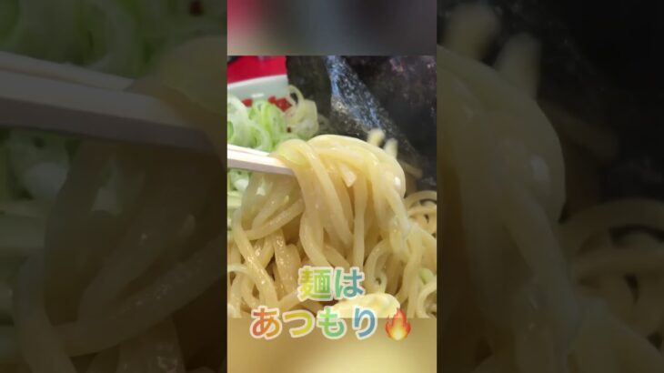 【ラーメン山岡家】醤油ベースのつけ汁に背脂と酸味で仕上った一杯✨ｺﾛﾁｬｰｼｭｰを15個追加で贅沢に20個♪【岐阜 ラーメン】