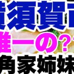 【家系ラーメン】横須賀市に唯一の六角家姉妹店？？一年振りの再訪麺！！