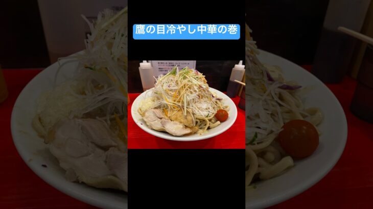 【二郎系×冷やし中華】鷹の目にて限定冷やし中華を食す！ #shorts #japan #food #ramen #ラーメン #二郎系 #冷やし中華 #鷹の目#noodles #飯テロ #夏バテ防止