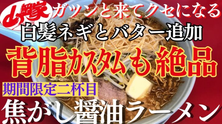 【ラーメン山岡家】期間限定✨焦がし醤油ラーメン背脂仕様＆白髪ネギ＋バター追加で堪能♪【岐阜 ラーメン】