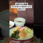 山田うどん食堂　柿木店　パンチ定食　ラーメンセット　ざるラーメン　もつ煮