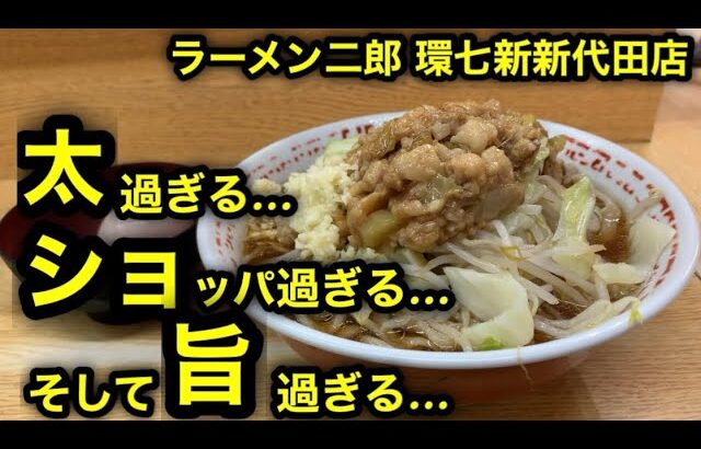 【ラーメン二郎 環七新新代田店】太過ぎてしょっぱ過ぎる…そして旨すぎる…