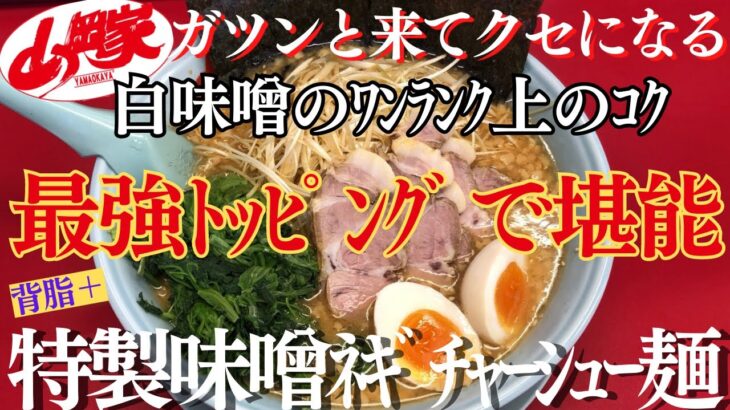 【ラーメン山岡家】大好きな特製味噌を豪華トッピングで堪能♪✨【岐阜 ラーメン】