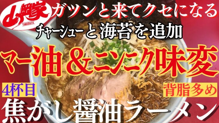 【ラーメン山岡家】期間限定4杯目✨前半はマー油、後半はニンニクでスープを堪能‼️ﾄｯﾋﾟﾝｸﾞにﾁｬｰｼｭｰと海苔♪【岐阜 ラーメン】