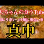 《大ちゃんの食うTubeの》こんなに美味いつけ麺があるのなぁぜなぁぜ？