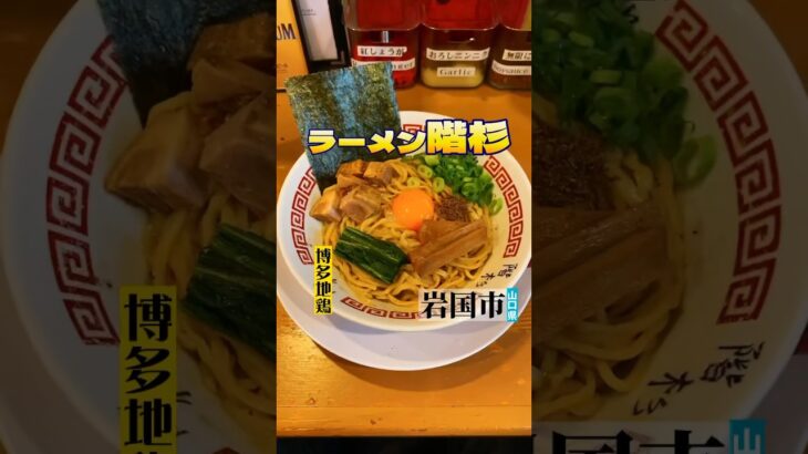 【山口ラーメン/ラーメン階杉】冷やし鶏油まぜそば　#shorts #ramen #ラーメン #山口ラーメン #山口グルメ