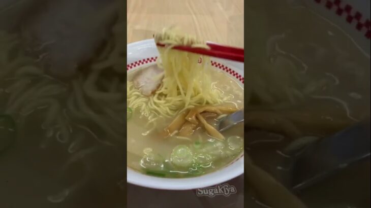 横浜家系ラーメン！愛知すがきや！浜松餃子！