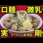 【ラーメン二郎 柏店】信頼と実績の質実剛健な一杯！（初心者には超オススメ！）