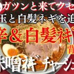 【ラーメン山岡家】辛味噌ﾈｷﾞﾁｬｰｼｭｰ✨中辛の旨辛スープと白髪ネギダブルで堪能♪【岐阜 ラーメン】