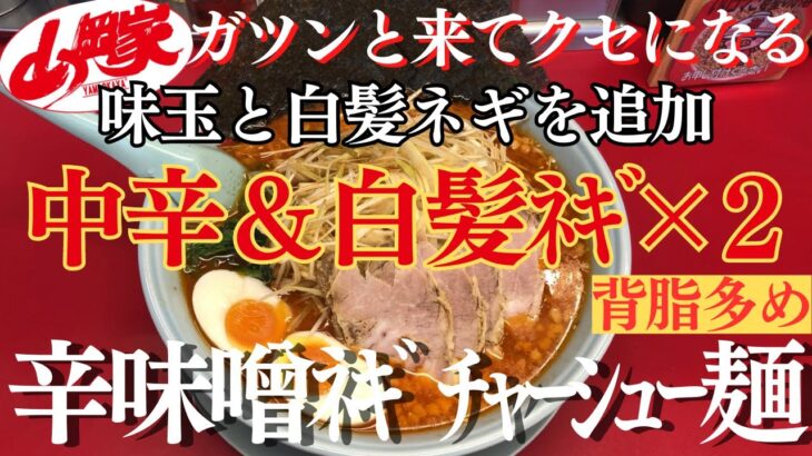 【ラーメン山岡家】辛味噌ﾈｷﾞﾁｬｰｼｭｰ✨中辛の旨辛スープと白髪ネギダブルで堪能♪【岐阜 ラーメン】