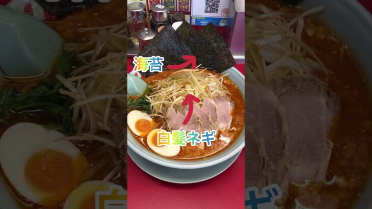 【ラーメン山岡家】辛味噌ﾈｷﾞﾁｬｰｼｭｰ✨中辛の旨辛スープと白髪ネギダブルで堪能♪【岐阜 ラーメン】