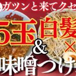 【ラーメン山岡家】辛味噌つけ麺3.5を喰らう✨白髪ネギはダブル♪大満足！！【岐阜 ラーメン】