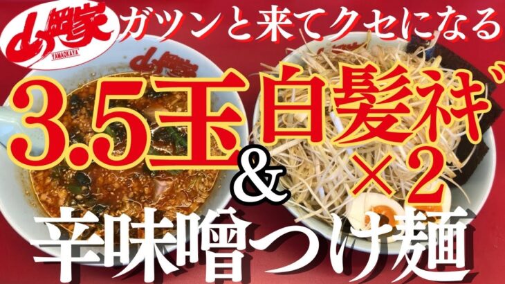 【ラーメン山岡家】辛味噌つけ麺3.5を喰らう✨白髪ネギはダブル♪大満足！！【岐阜 ラーメン】