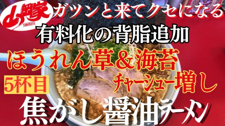 【ラーメン山岡家】期間限定5杯目✨スープは背脂マシ‼️優しいほうれん草が抜群に合う一杯♪【岐阜 ラーメン】