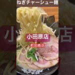 【町田商店99】横浜家系ラーメン終電後『ねぎチャーシュー麺小田原店』取材拒否 全店制覇  東海道新幹線停車駅で深夜大量に食べてみた 0827