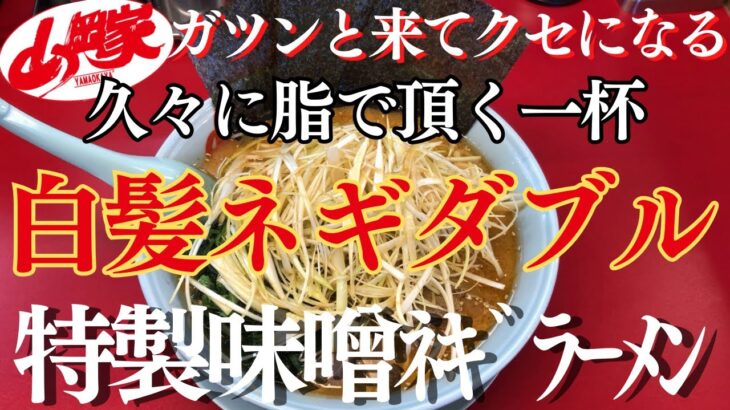 【ラーメン山岡家】特製味噌を白髪ネギダブルで豪華に✨スープは背脂ではなくノーマルで堪能♪【岐阜 ラーメン】