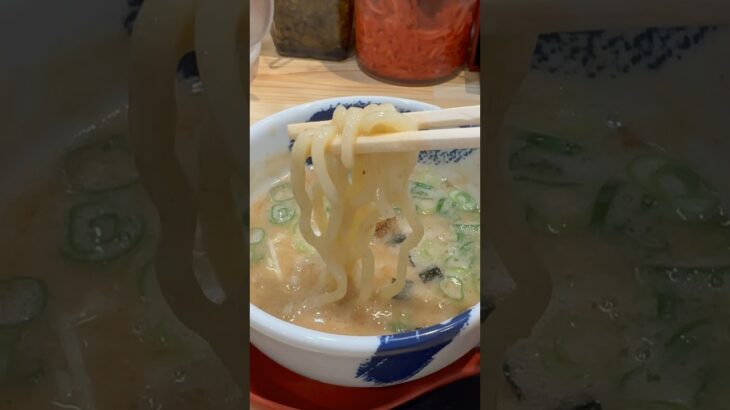 【愛知美味いもん】名古屋市千種区で豚骨ラーメン屋の濃厚つけ麺を食べるならココでしょ！ #愛知グルメ #名古屋グルメ #ラーメン #ramen #つけ麺