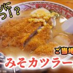 高知のご当地グルメ「みそカツラーメン」がメチャウマだった