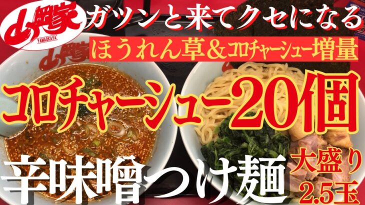 【ラーメン山岡家】辛味噌つけ麺を大盛りあつもりで✨ｺﾛﾁｬｰｼｭｰ15個を追加して合計20個で堪能(●´ω｀●)♪【岐阜 ラーメン】