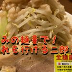 #小山市  #ラーメン  #二郎系　子連れOK！麺量も小から選べる@yukki_channel_