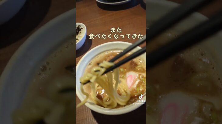 新潟ラーメン。ラ麺のりダーさんでつけ麺を食べてきた