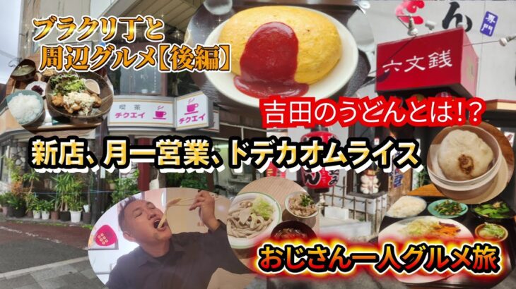 【和歌山グルメ】新店やハードルの高い気になるお店を回ってみた。おじさんブラクリ丁周辺一人旅！