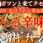 【ラーメン山岡家】旨辛が染みる✨ﾈｷﾞ＆ほうれん草増しと海苔はｸｰﾎﾟﾝで8枚に♪ｽｰﾌﾟには背脂in(●´ω｀●)【岐阜 ラーメン】