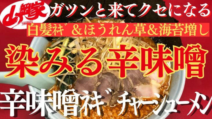 【ラーメン山岡家】旨辛が染みる✨ﾈｷﾞ＆ほうれん草増しと海苔はｸｰﾎﾟﾝで8枚に♪ｽｰﾌﾟには背脂in(●´ω｀●)【岐阜 ラーメン】