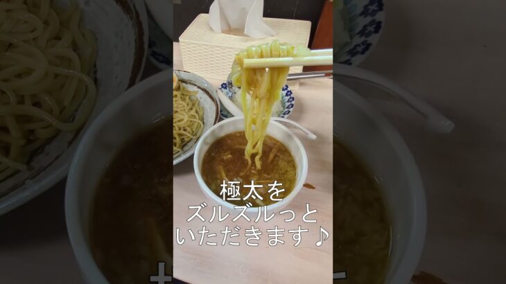 敏々亭 びんびん 高尾店 「極太つけ麺」