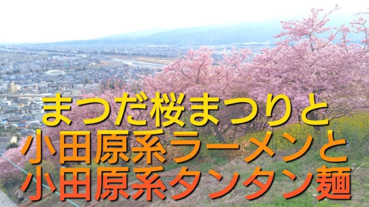 まつだ桜まつり(2024)とご当地ラーメン