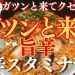 【ラーメン山岡家】2/9販売開始最速✨旨辛なキムチと揚げニンニクでガツンと来る一杯！(●´ω｀●)【岐阜 ラーメン】