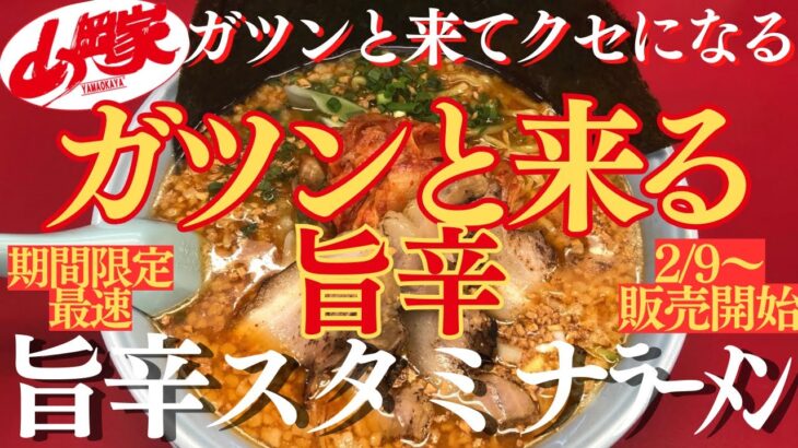 【ラーメン山岡家】2/9販売開始最速✨旨辛なキムチと揚げニンニクでガツンと来る一杯！(●´ω｀●)【岐阜 ラーメン】