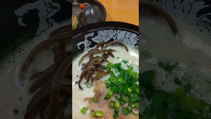 とんこつラーメン　博多一幸舎