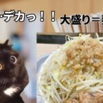 二郎系インスパイア店で痛い目を見る話　#猫ミーム #猫マニ