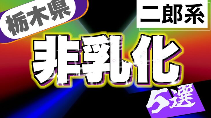 【4K】「栃木県次郎系非乳化５選！」　#二郎系　#栃木県   G系激戦区   栃木県内非乳化系で美味しいお店を5つピックアップしました。お楽しみください。