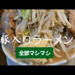 【豚入りラーメン】【全部マシマシ】 【特製台湾まぜそば】ラーメン つけ麺神起 20240515-17 神戸駅 二郎系ラーメン 野菜トッピング ニンニクマシマシ 増し増し 関西 チャーシュー トンマサ