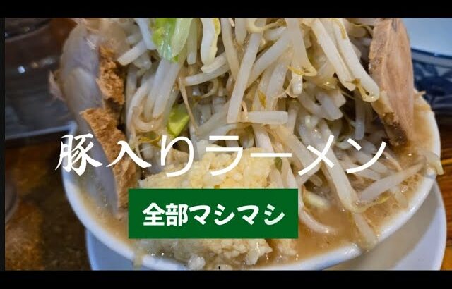 【豚入りラーメン】【全部マシマシ】 【特製台湾まぜそば】ラーメン つけ麺神起 20240515-17 神戸駅 二郎系ラーメン 野菜トッピング ニンニクマシマシ 増し増し 関西 チャーシュー トンマサ