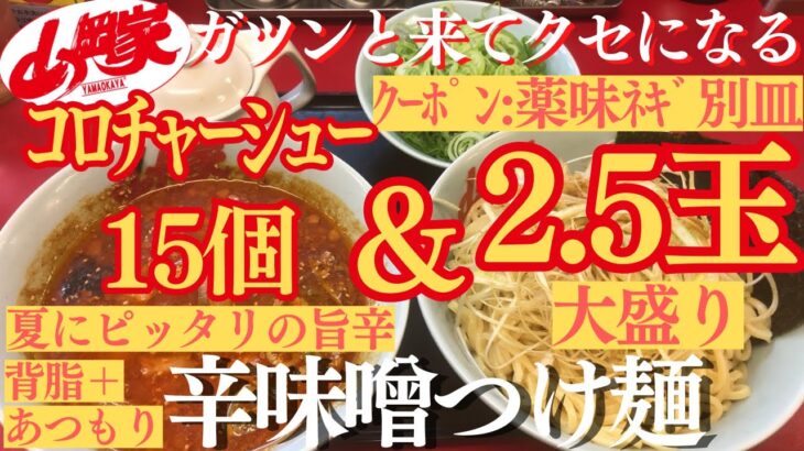 【ラーメン山岡家】夏にピッタリ辛味噌つけ麺(●´ω｀●)2.5玉とｺﾛﾁｬｰｼｭｰ15個で堪能🍜♪【岐阜 ラーメン】