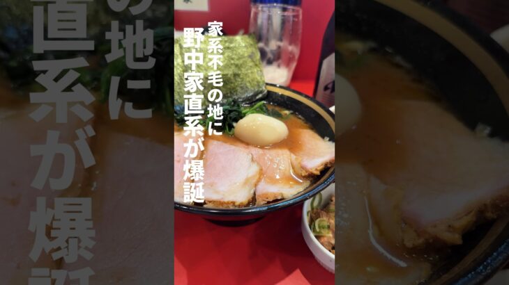 渋谷に2024年6月21日OPEN！家系ラーメンがほぼなかった渋谷に野中家直系「川島家」。まろやかだけどガツンと濃い醤油がビールに合うんだこれまた！#家系ラーメン #渋谷ラーメン