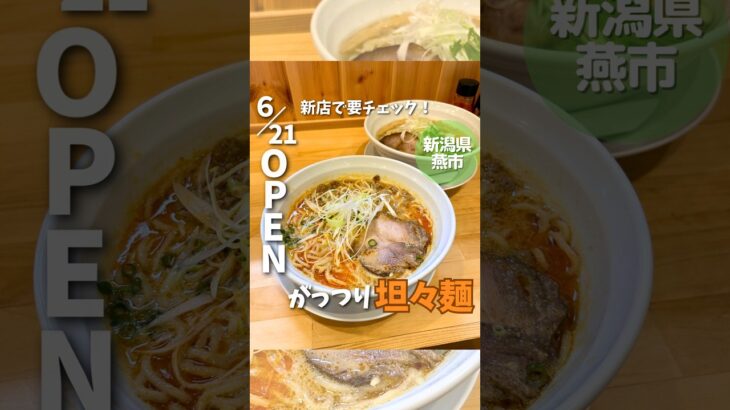 【新潟グルメを毎週 投稿中】#pr #らーめんだんだん #もぐもぐ新潟 #shorts #新潟ラーメン屋 #新潟グルメ #担々麺 #燕市グルメ #燕市ラーメン屋 #新店 #塩ラーメン #niigata