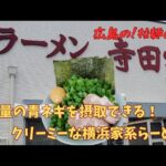 【横浜家系ラーメン】不動の看板メニュー！寺田家の青ネギラらーめん