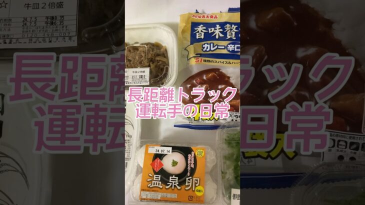 【欲望メシ】牛皿テイクアウトしてアレンジ飯　長距離トラック運転手の日常　帰宅して晩御飯