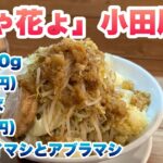 【麺ゃ花ょ】ミニ120g（880円）、G系まぜそば（+10円）/コールはヤサイマシとアブラマシ【神奈川県・小田原駅】