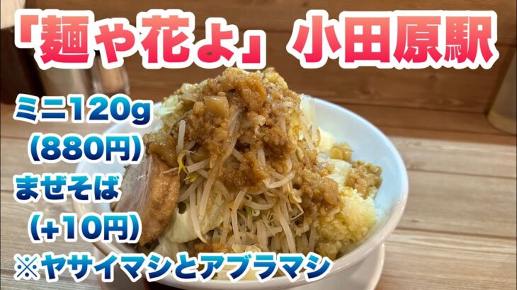 【麺ゃ花ょ】ミニ120g（880円）、G系まぜそば（+10円）/コールはヤサイマシとアブラマシ【神奈川県・小田原駅】