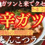 【ラーメン山岡家】📝8/1販売開始の期間限定(●´ω｀●)旨辛のガツンとくる一杯が美味い🍜♪【岐阜 ラーメン】