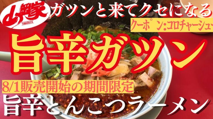 【ラーメン山岡家】📝8/1販売開始の期間限定(●´ω｀●)旨辛のガツンとくる一杯が美味い🍜♪【岐阜 ラーメン】