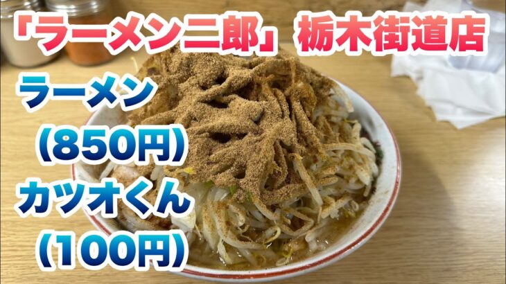 【ラーメン二郎】栃木街道店でラーメン（850円）、カツオくん（100円）/今回のコールはヤサイ/非乳化スープ/並び終わった後に入店してから食券を買って店内で並ぶルール/胡椒/唐辛子