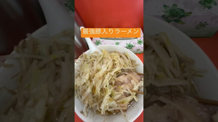 【美味しいラーメン屋さん巡り】#ラーメン #二郎系 #いごっそう #グルメ #shorts